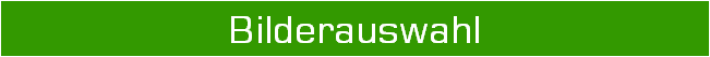 Bilderauswahl